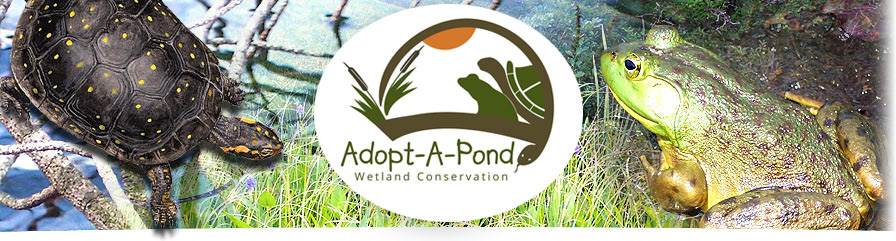 Adopt-A-Pond Wetland Conservation